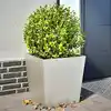 Image de vidaXL Jardinières 2 pcs 50x50x50 cm acier inoxydable