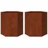 Image de vidaXL Jardinières 2 pcs hexagone 46x40x45 cm Acier résistant aux intempéries, jardinière de Fleurs, jardinière de Patio, jardinière de Jardin, jardinière d'extérieur