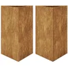 Image de vidaXL Jardinières 2 pcs Triangulaire Acier résistant aux intempéries
