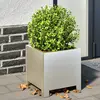 Image de vidaXL Jardinières 2 pcs 30x30x30 cm acier inoxydable