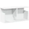 Image de vidaXL Armoire Murale 60x20x30 cm Blanc Bois d'ingénierie