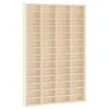 Image de vidaXL Vitrine de Collection en Bois avec 56 Compartiments 40 x 4,5 x 60 cm