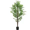 Image de vidaXL Plante Artificielle ficus 1260 Feuilles 200 cm Vert, Plante Artificielle, Arbre Artificiel, ficus Artificiel, Fausse Plante, Faux Arbre, ficus