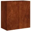 Image de vidaXL Jardinière rouillé 80x40x80 cm Acier Inoxydable, Pot de Fleurs, Support de Plantes, lit surélevé, Support de jardinière, bac à Plantes