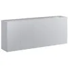 Image de vidaXL Jardinière 200x40x80 cm Acier galvanisé, Pot de Fleurs, Support de Plantes, lit surélevé, Support de jardinière, bac à Plantes