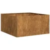 Image de vidaXL Jardinière rouillé 80x80x40 cm Acier Inoxydable, Pot de Fleurs, Support de Plantes, lit surélevé, Support de jardinière, bac à Plantes