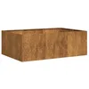 Image de vidaXL Jardinière rouillé 120x80x40 cm Acier Inoxydable, Pot de Fleurs, Support de Plantes, lit surélevé, Support de jardinière, bac à Plantes