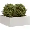 Image de vidaXL Jardinière 80x80x30 cm acier inoxydable
