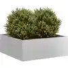 Image de vidaXL Jardinière 80x80x30 cm acier galvanisé