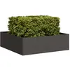 Image de vidaXL Jardinière noir 100x100x30 cm acier