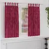 Image de vidaXL Rideaux en velours 2 pcs Rouge bordeaux 175 x 140 cm Velours