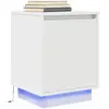 Image de vidaXL Table de chevet avec lumières LED blanc 38x34x50 cm