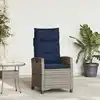 Image de vidaXL Chaise de jardin inclinable avec table d'appoint gris polyrotin