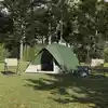 Image de vidaXL Tente de camping avec toit Vert 320 x 275 x 190 cm taffetas