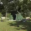 Image de vidaXL Tente de camping avec toit Vert 223 x 163 x 130 cm taffetas