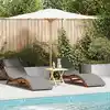 Image de vidaXL Transat avec coussin 2 pcs Gris Bois d'Acacia Massif