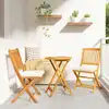 Image de vidaXL Chaise pliante avec coussin 2 pcs Marron Bois d'acacia massif