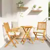 Image de vidaXL Chaise pliante avec coussin 2 pcs Marron Bois d'acacia massif