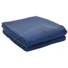 Image de vidaXL Tapis de Tente Bleu 500 × 350 cm Polyester, Tapis Moderne léger pour Tente, Couverture résistante, Mat pour Confort en Plein air, équipement de Loisirs