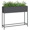 Image de vidaXL Bac de Jardin surélevé Anthracite 100 x 26 x 82 cm Acier