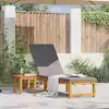 Image de vidaXL Transat Marron 202 x 53 x 89 cm Bois d'Acacia Massif