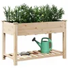 Image de vidaXL Cache-Pot de Jardin avec étagère Beige 115 x 59 x 76,5 cm, Jardin et terrasse, Pot en Bois Minimaliste, Support Durable pour Plantes, présentoir Moderne d'herbes