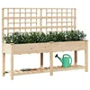 Image de vidaXL Cache-Pot de Jardin avec étagère Beige 203,5 x 54 x 152,5 cm, Jardin Moderne et Minimaliste, Pot en Bois de Sapin Robuste, Design rectangulaire pour terrasse, Beige déco