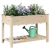 Image de vidaXL Cache-Pot de Jardin Beige 115 x 59 x 76,5 cm