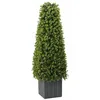 Image de vidaXL Tour en Herbe Eucalyptus Vert 27 x 27 x 90 cm Plastique, Tour d'eucalyptus, plante artificielle, déco intérieure, style ferme, accent rustique pour salon