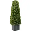 Image de vidaXL Tour en Herbe Eucalyptus Vert 27 x 27 x 90 cm Plastique