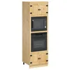 Image de vidaXL Armoire avec étagère avec Porte Miel 60 x 32 x 40 cm Pin Massif, Cabinet rectangulaire Moderne, Grand Espace de Rangement pour Salon, Organisateur Pratique en Bois de pin