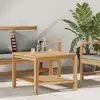 Image de vidaXL Table basse Marron 60 x 60 x 45 cm Bois de teck solide