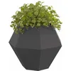 Image de vidaXL Jardinière 2 pcs Noir 100 x 100 x 80 cm Acier, Bac à Fleurs extérieur, Support Robuste pour Plantes, décor de Jardin, Pot rectangulaire en Acier