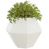 Image de vidaXL Jardinière 2 pcs Blanc 100 x 100 x 80 cm Acier, Jardin et terrasse, bac à Fleurs Solide, Support rectangulaire, décor d'herbes et Verdure, boîte