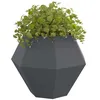 Image de vidaXL Jardinière Anthracite 100 x 100 x 80 cm Acier, Jardin et terrasse, bac à Fleurs Solide, Support rectangulaire, décor d'herbes et Verdure, boîte