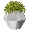 Image de vidaXL Jardinière Argent 75 x 75 x 60 cm Acier Inoxydable, Jardin et terrasse, bac à Fleurs Solide, Support rectangulaire, décor d'herbes et Verdure, boîte