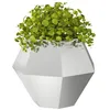 Image de vidaXL Jardinière 2 pcs Argent 75 x 75 x 60 cm Acier galvanisé, Jardin et terrasse, bac à Fleurs Solide, Support rectangulaire, décor d'herbes et Verdure, boîte