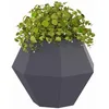 Image de vidaXL Jardinière Anthracite 50 x 50 x 40 cm Acier, Jardin et terrasse, bac à Fleurs Solide, Support rectangulaire, décor d'herbes et Verdure, boîte