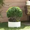 Image de vidaXL Anneau de jardinière 5 pcs Blanc 40 x 40 x 20 cm