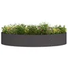 Image de vidaXL Anneau de jardinière Noir 120 x 120 x 20 cm, Cercle de Jardin en métal Moderne, élément de décor sculptural, Cadre en Acier Durable pour tes Plantes, Design Minimaliste