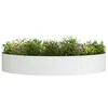 Image de vidaXL Anneau de jardinière Blanc 120 x 120 x 20 cm, Cercle de Jardin en métal Moderne, élément de décor sculptural, Cadre en Acier Durable pour tes Plantes, Design Minimaliste