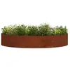 Image de vidaXL Anneau de jardinière 5 pc Rouillé 120 x 120 x 20 cm