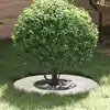 Image de vidaXL adapté pour anneaux d'arbre plats 5 pcs Blanc Ø30 / 60 cm Acier