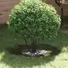 Image de vidaXL adapté pour anneau d'arbre plat Vert olive Ø30 / 60 cm Acier