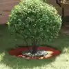 Image de vidaXL adapté pour anneau d'arbre plat Marron Ø30 / 60 cm Acier patiné