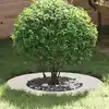Image de vidaXL adapté pour anneau d'arbre plat Blanc Ø40 / 70 cm Acier