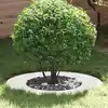 Image de vidaXL adapté pour anneaux d'arbre plats 5 pcs Blanc Ø40 / 70 cm Acier