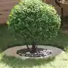 Image de vidaXL adapté pour anneau d'arbre plat Argent Ø40 / 70 cm