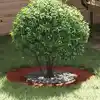 Image de vidaXL adapté pour anneau d'arbre plat Marron Ø40 / 70 cm Acier patiné