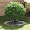 Image de vidaXL adapté pour anneau d'arbre plat Argent Ø60 / 90 cm
